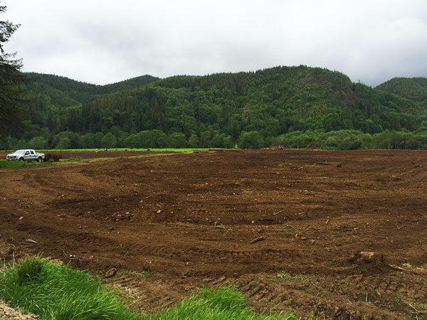 Land Clearing After