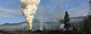 Oregon Logging Land Clearing
