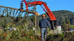 Oregon Logging Land Clearing