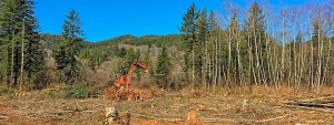 Oregon Land Clearing