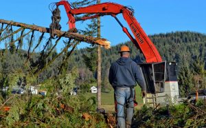 Oregon Logging Land Clearing