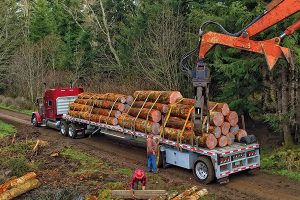 Oregon Logging