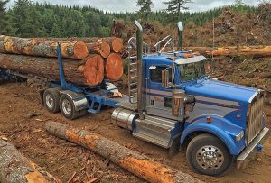 Oregon Logging Company