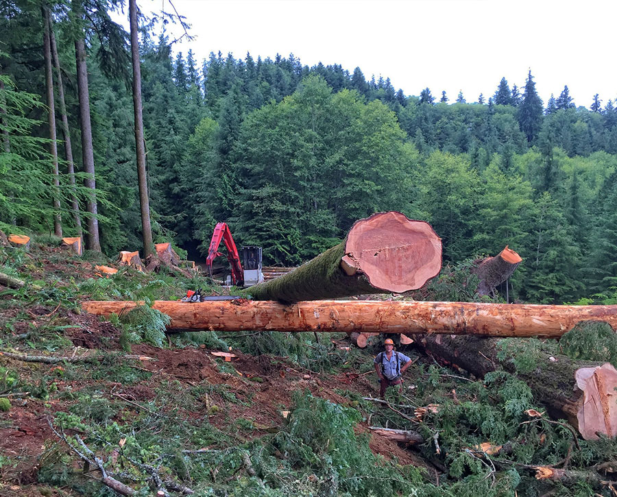Oregon Logging Company