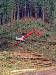 Oregon Logging Contractor