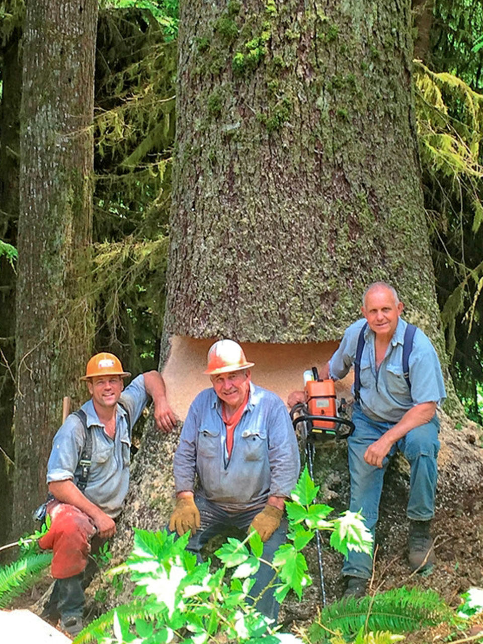 Oregon Logging Generations