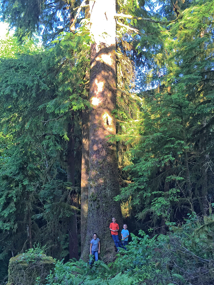 Oregon Logging Kids