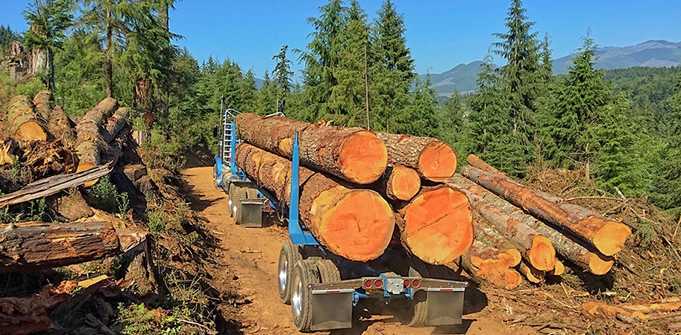 Oregon Logging Truck