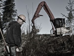 Rieger Logging