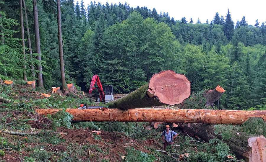 Oregon Logging Service