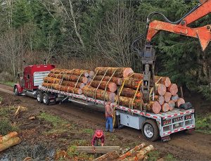 Oregon Logging