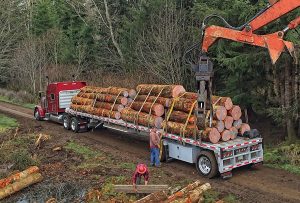 Oregon Logging Services