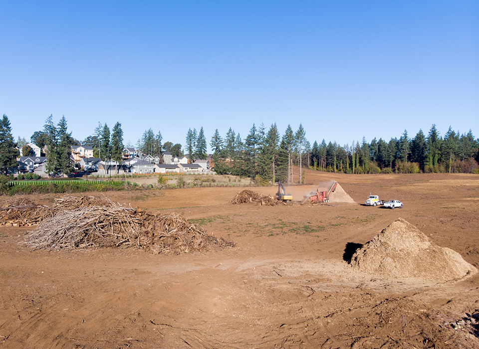 Land Clearing Oregon Coast