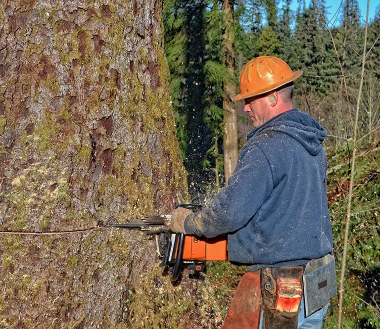 Oregon Logging Company