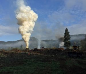 Oregon Land Clearing