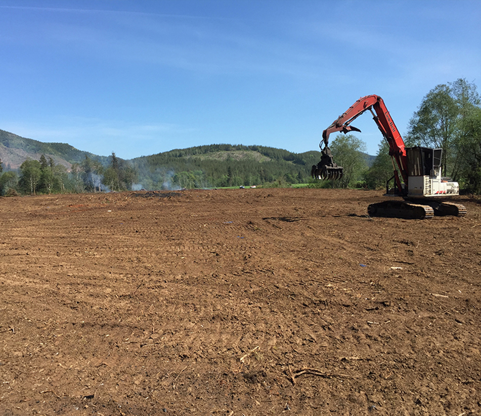 Portland Land Clearing