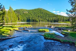 Clackamas Oregon Logging Company