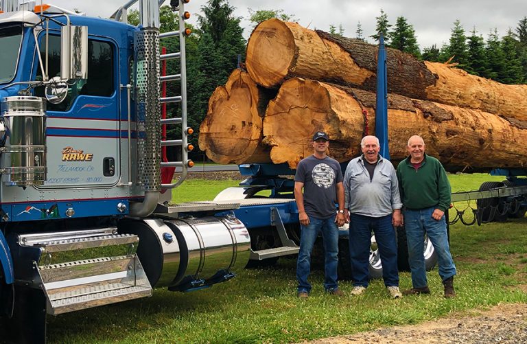 Columbine Logging Inc Jobs