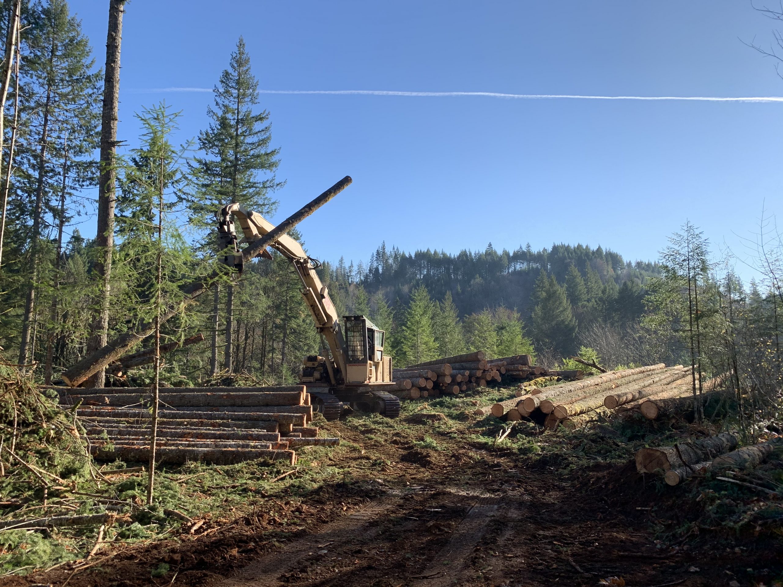 oregon logging company process